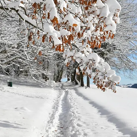 Chalet Hideaway Sandlehen