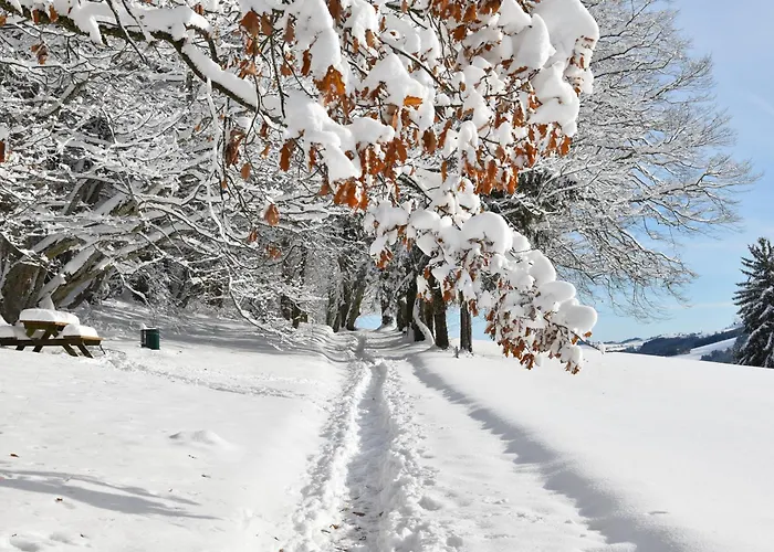 Chalet Hideaway Sandlehen